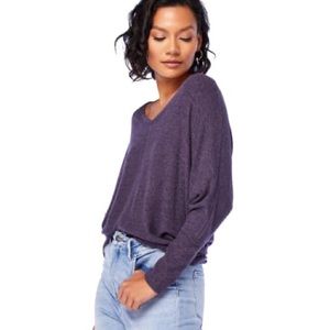 Intermingle Brushed V-neck Dolman Sleeve in Raisin - NWT
